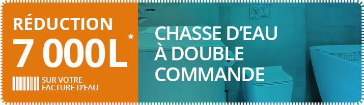 Chasse d'eau à double commande